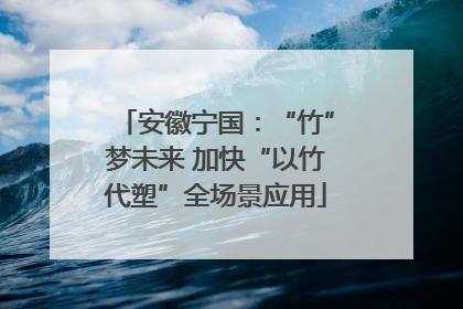 安徽宁国：“竹”梦未来 加快“以竹代塑”全场景应用